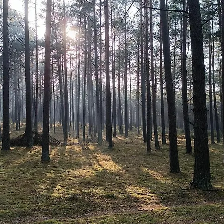 Domki W Kokoszce Swornegacie